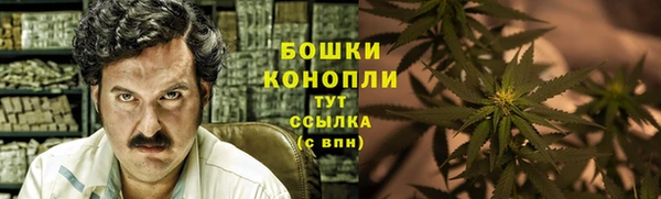 трава Алзамай