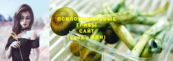 трава Алзамай