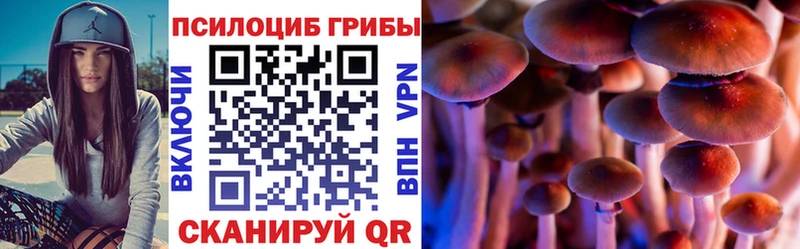 Галлюциногенные грибы ЛСД  ссылка на мегу tor  Пролетарск  купить наркотики цена 